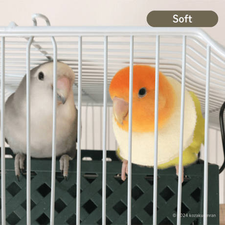 【トリザベスカラー】柔らかい　10枚入