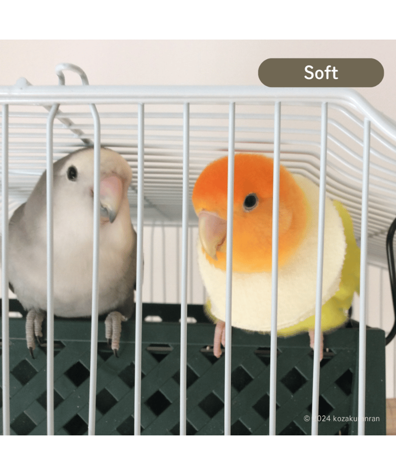 トリザベスカラー】柔らかい 10枚入 | コザクランラン 1/17～鳥フェス松山