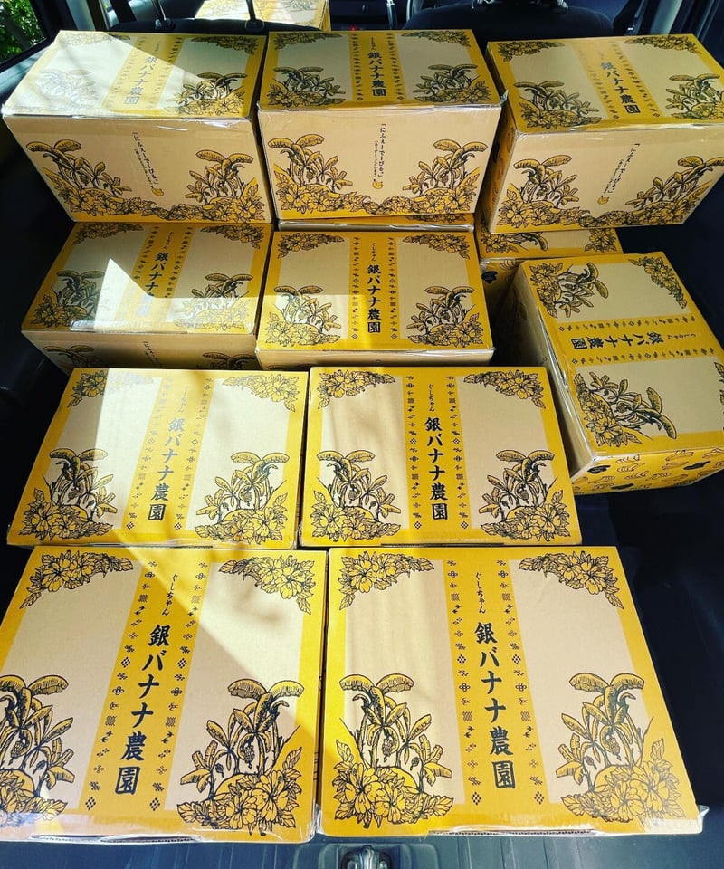 沖縄県産 希少栽培種 もっちり!ぐしちゃん銀バナナ/約2㎏ 送料込