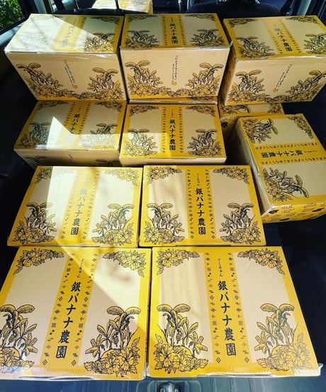 沖縄県産 希少栽培種 もっちり!ぐしちゃん銀バナナ/約3㎏　送料込
