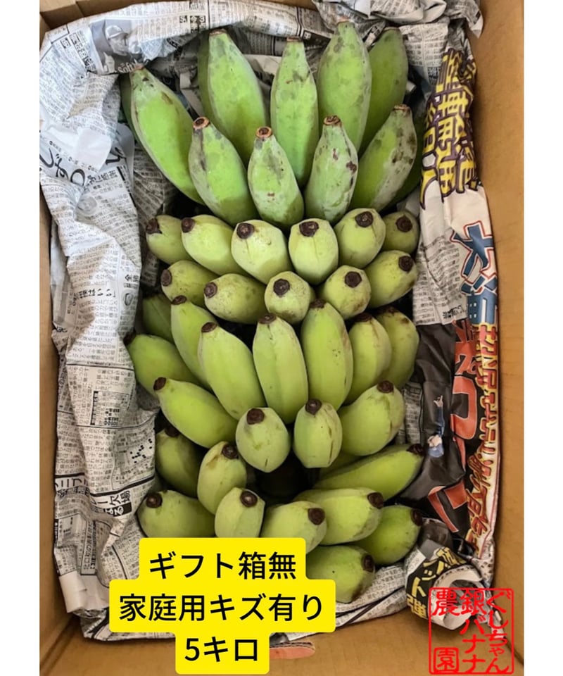 沖縄県産 希少栽培種 もっちり!ぐしちゃん銀バナナ/約5㎏ 送料込