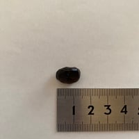 特大原石】23g チンターマニストーン (タキオン化済) 直輸入 | チン