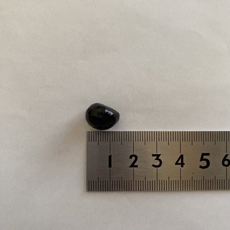 タキオン製品 | STORES