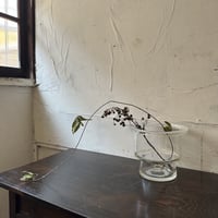 ガラスの蓋物(デシケーター)