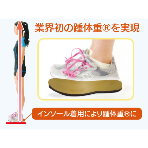 プライマリーウォーキング スポーツインソール | BENOCK ONLINE SHOP