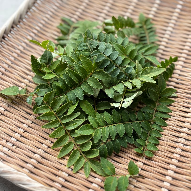 食品 3924専用○B級120g④送料込 追加分花山椒＋木の芽