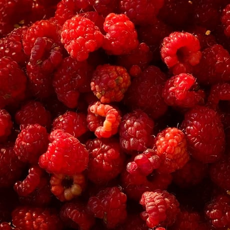 Baton de fruits /framboise