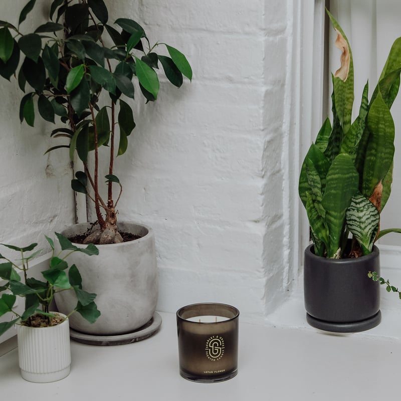 Scarlet & Grace】SCSI0308 グラス入りソイキャンドル ダブルウィック/