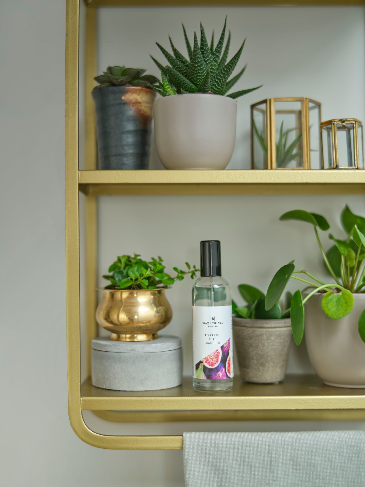 DeliciousTaylormade Rinプリアンプ バランスフル クリーム 80ml: コスメ＆ビューティー | ロフト