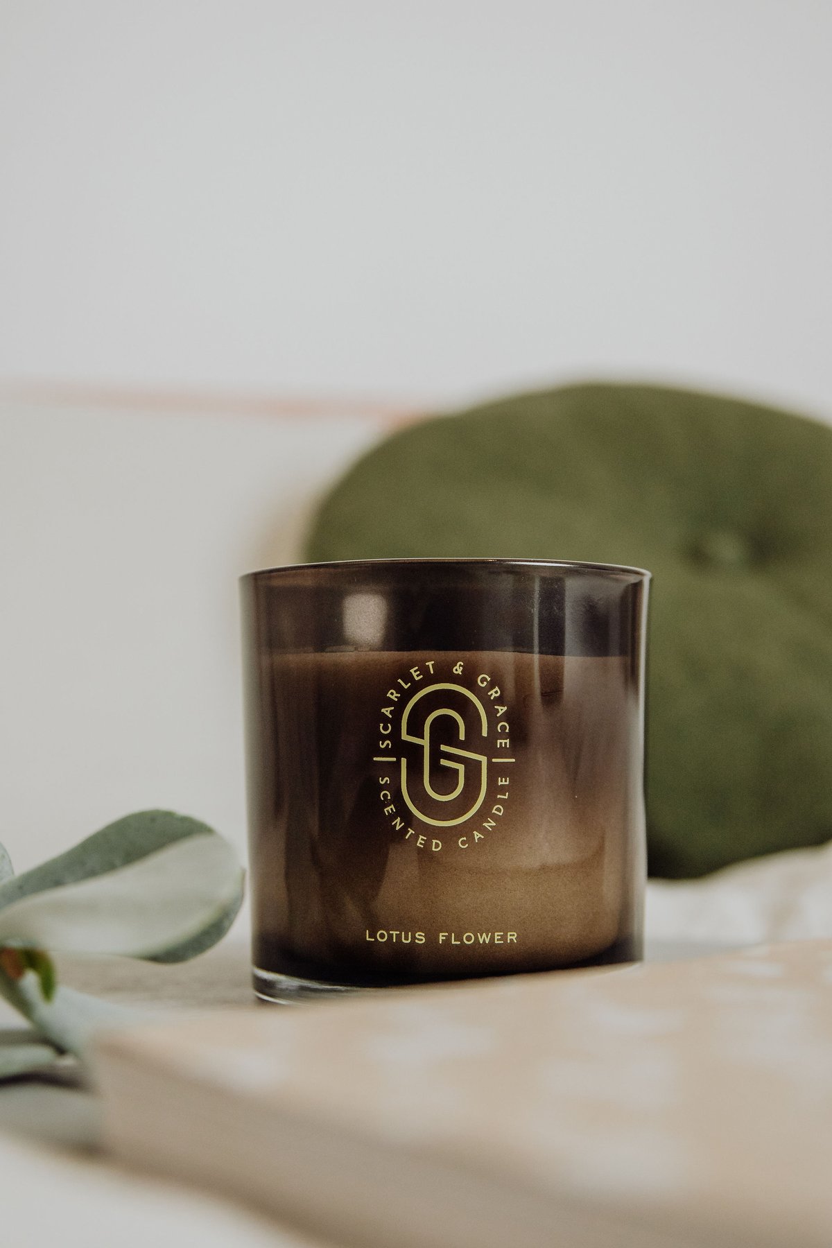 AQUIESSE SOUVENIR コンパスソイキャンドル コスタリカ AQUIESSE SOUVENIR コンパスソイキャンドル コスタリカ