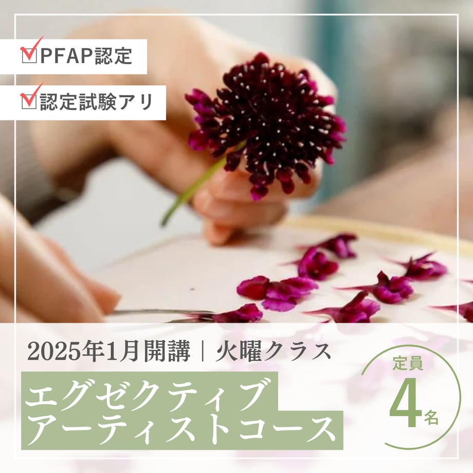 67036289d9523005531ac087