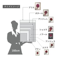 【プロポーズ商品】サイズイメージ