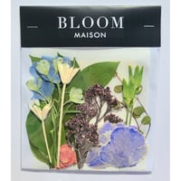 押し花｜花材セット シキミア Pressed Flower Kit インテリア・ギフト・ウェルカムボードなどのハンドメイドに　F-808 BLOOM MAISON