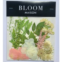 押し花｜花材セット ナズナ Pressed Flower Kit インテリア・ギフト・ウェルカムボードなどのハンドメイドに　F-941 BLOOM MAISON