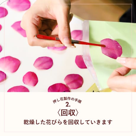 【お申込み申請】2025年9月開講《火曜クラス》PFAP認定アーティストコース