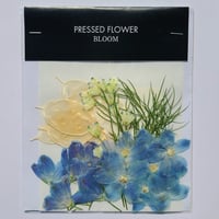 【押し花｜花材セット  ルナリア Pressed Flower Kit ギフト・ウェルカムボードなどのハンドメイドに】F-664 BLOOM MAISON