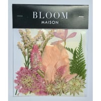押し花｜花材セット スカビオサ Pressed Flower Kit インテリア・ギフト・ウェルカムボードなどのハンドメイドに　F-1081 BLOOM MAISON