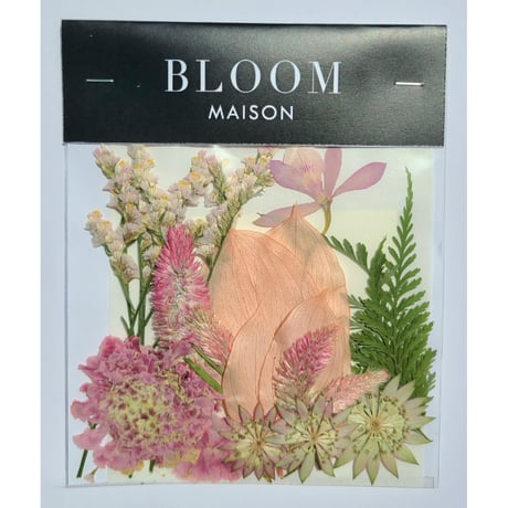 押し花｜花材セット スカビオサ Pressed Flower Kit インテリア・ギフト・ウェルカムボードなどのハンドメイドに　F-1081 BLOOM MAISON