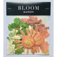 押し花｜花材セット ガーベラ Pressed Flower Kit インテリア・ギフト・ウェルカムボードなどのハンドメイドに　F-1052 BLOOM MAISON