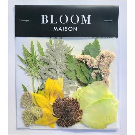 押し花｜花材セット ひまわり Pressed Flower Kit インテリア・ギフト・ウェルカムボードなどのハンドメイドに　F-766 BLOOM MAISON
