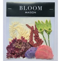押し花｜花材セット スカビオサ Pressed Flower Kit インテリア・ギフト・ウェルカムボードなどのハンドメイドに　F-969 BLOOM MAISON