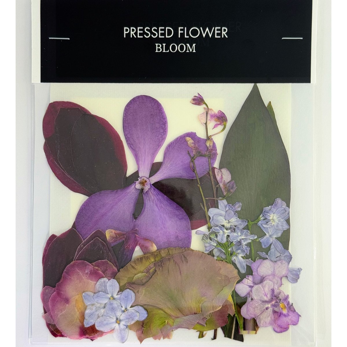 押し花｜花材セット シンビジューム Pressed Flower Kit ギフト