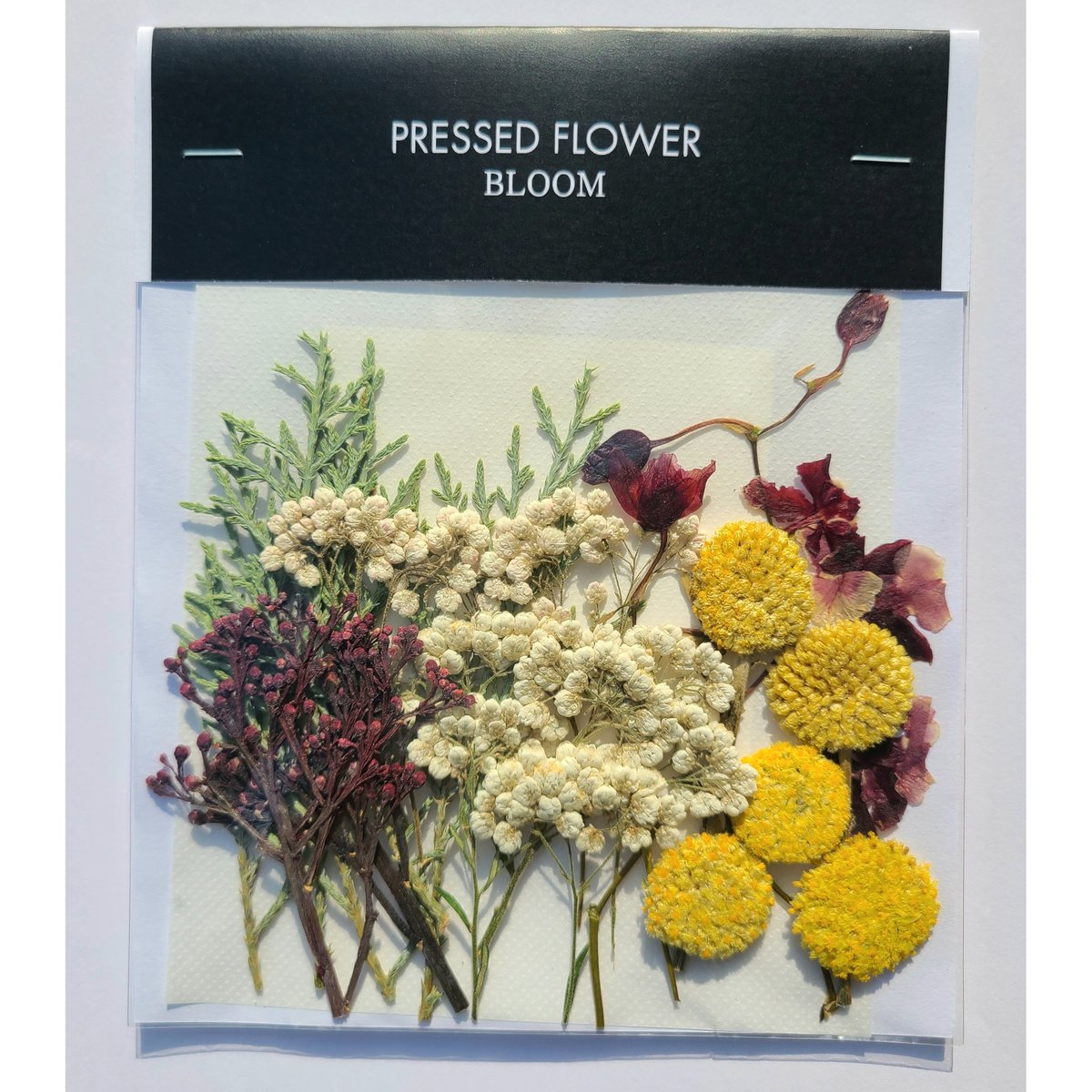 押し花｜花材セット ブルーアイス Pressed Flower Kit ギフト