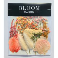 押し花｜花材セット アスチルベ Pressed Flower Kit インテリア・ギフト・ウェルカムボードなどのハンドメイドに　F-838 BLOOM MAISON