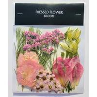 押し花｜花材セット アルストロメリア Pressed Flower Kit インテリア・ギフト・ウェルカムボードなどのハンドメイドに　F-715 BLOOM MAISON