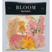 押し花｜花材セット テールリード Pressed Flower Kit インテリア・ギフト・ウェルカムボードなどのハンドメイドに　F-989 BLOOM MAISON