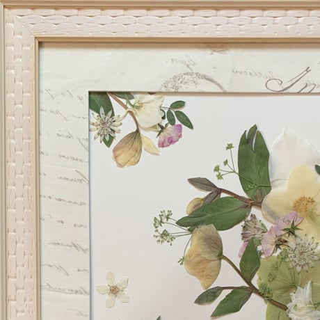 【2025年9月～12月】押し花のお教室：１Dayレッスン：トリニティ　※A～Cの中から1点お選びください