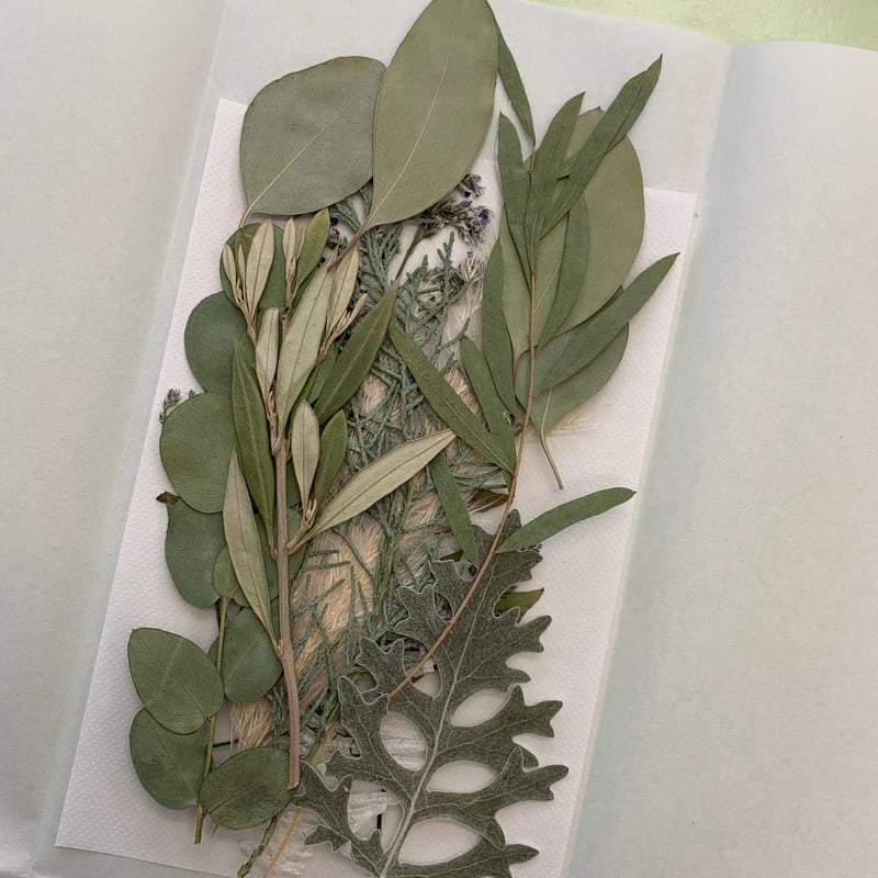 押し花テーブルナンバー花材（15卓分） | BLOOM MAISON