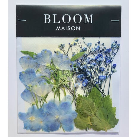 押し花｜花材セット スプレーデルフィニウム Pressed Flower Kit インテリア・ギフト・ウェルカムボードなどのハンドメイドに　F-805 BLOOM MAISON