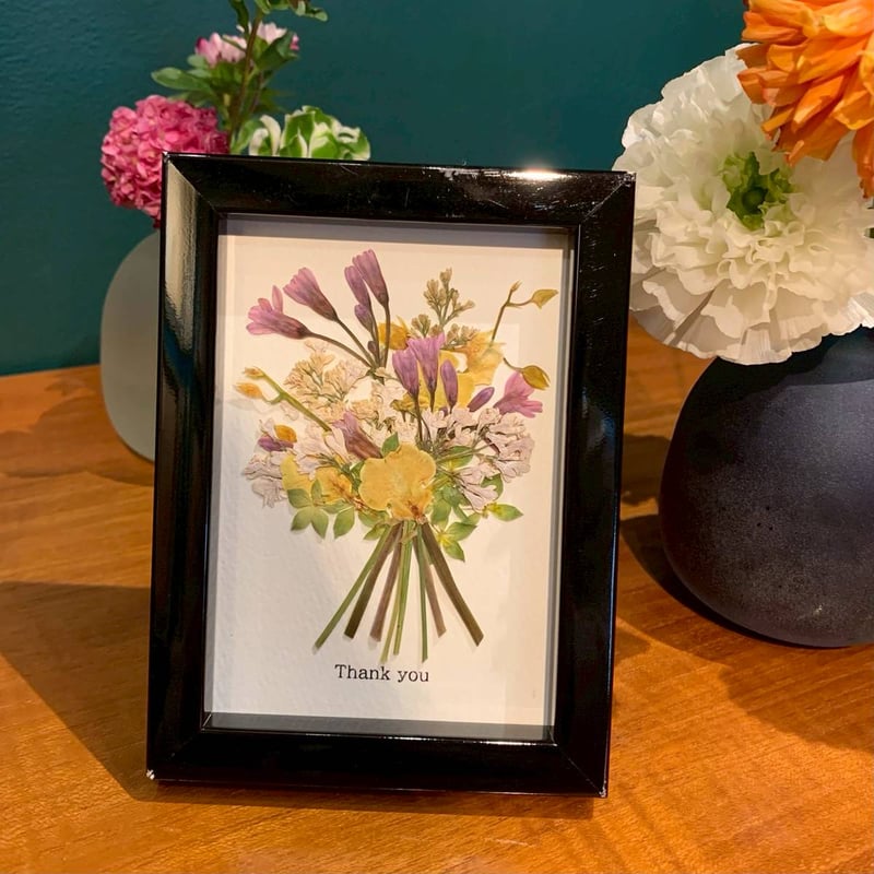 押し花｜花材セット プリザーブドフラワー かすみ草 Pressed Flower