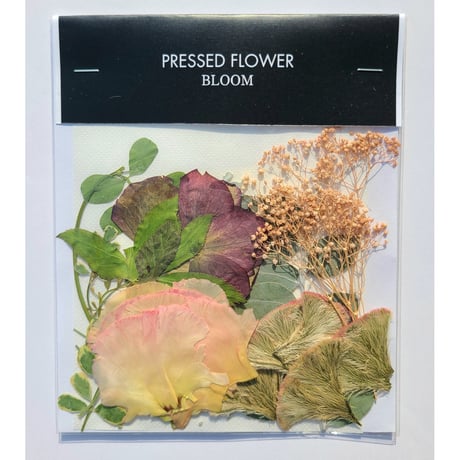 【押し花｜花材セット クリスマスローズ Pressed Flower Kit ギフト・ウェルカムボードなどのハンドメイドに】F-645 BLOOM MAISON