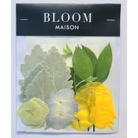 押し花｜花材セット スイートピー Pressed Flower Kit インテリア・ギフト・ウェルカムボードなどのハンドメイドに　F-1063 BLOOM MAISON