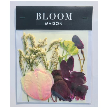 押し花｜花材セット ラナンキュラスつぼみ Pressed Flower Kit インテリア・ギフト・ウェルカムボードなどのハンドメイドに　F-870 BLOOM MAISON