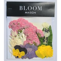 押し花｜花材セット ビオラ Pressed Flower Kit インテリア・ギフト・ウェルカムボードなどのハンドメイドに　F-1021 BLOOM MAISON