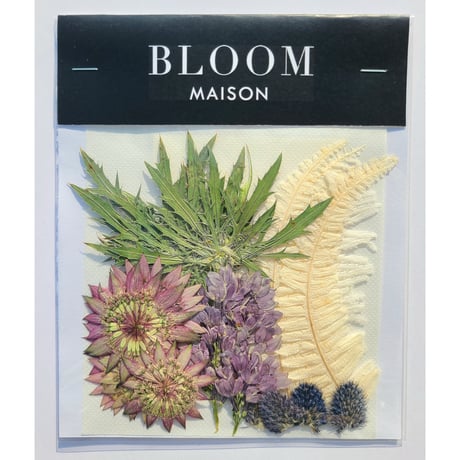 押し花｜花材セット ライラック Pressed Flower Kit インテリア・ギフト・ウェルカムボードなどのハンドメイドに　F-1057 BLOOM MAISON