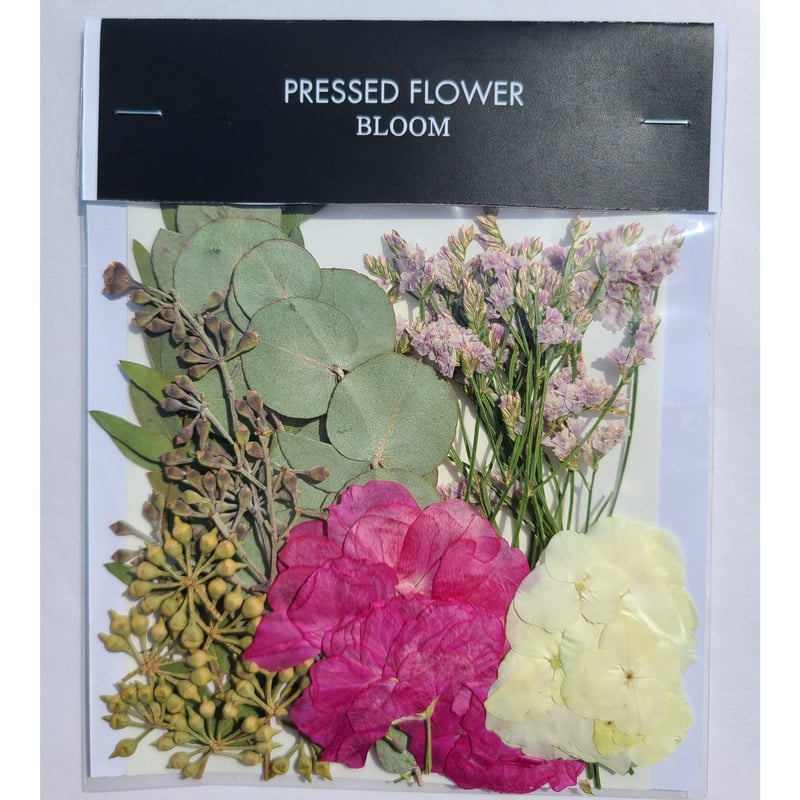SPストック 押し花|花材セット 】F-244 | BLOOM MAISON SPストック 押し花|花材セット 】F-244 | BLOOM MAISON