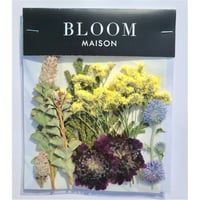 押し花｜花材セット パラノムス Pressed Flower Kit インテリア・ギフト・ウェルカムボードなどのハンドメイドに　F-826 BLOOM MAISON