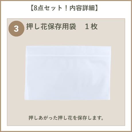 【押し花初心者キット・植物標本カード】　初めての方におすすめ・庭の小花で作る押し花キット・押し花材料