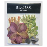 押し花｜花材セット エリンジューム Pressed Flower Kit インテリア・ギフト・ウェルカムボードなどのハンドメイドに　F-1043 BLOOM MAISON