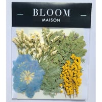 押し花｜花材セット リモニウム Pressed Flower Kit インテリア・ギフト・ウェルカムボードなどのハンドメイドに　F-942 BLOOM MAISON