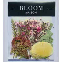 押し花｜花材セット トルコキキョウ Pressed Flower Kit インテリア・ギフト・ウェルカムボードなどのハンドメイドに　F-733 BLOOM MAISON