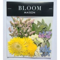 押し花｜花材セット ガーベラ Pressed Flower Kit インテリア・ギフト・ウェルカムボードなどのハンドメイドに　F-818 BLOOM MAISON