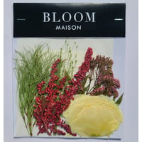 押し花｜花材セット アマランサス Pressed Flower Kit インテリア・ギフト・ウェルカムボードなどのハンドメイドに　F-972 BLOOM MAISON