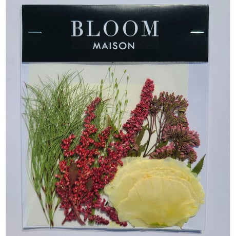 押し花｜花材セット アマランサス Pressed Flower Kit インテリア・ギフト・ウェルカムボードなどのハンドメイドに　F-972 BLOOM MAISON