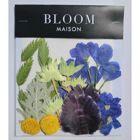 押し花｜花材セット チューリップ Pressed Flower Kit インテリア・ギフト・ウェルカムボードなどのハンドメイドに　F-1039 BLOOM MAISON
