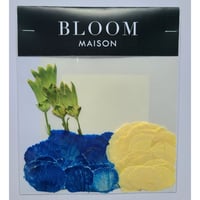 押し花｜花材セット カーネーション Pressed Flower Kit インテリア・ギフト・ウェルカムボードなどのハンドメイドに　F-965 BLOOM MAISON